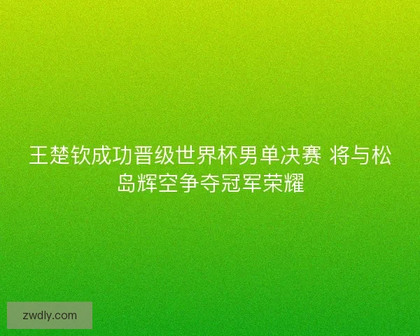 王楚钦成功晋级世界杯男单决赛 将与松岛辉空争夺冠军荣耀