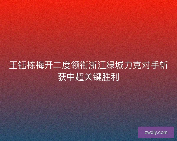王钰栋梅开二度领衔浙江绿城力克对手斩获中超关键胜利 王钰栋梅开二度领衔浙江绿城力克对手斩获中超关键胜利